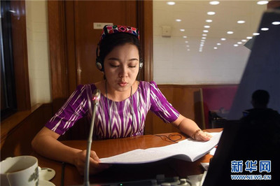 語言橋梁，共商國是——記為兩會服務的民族語文翻譯組